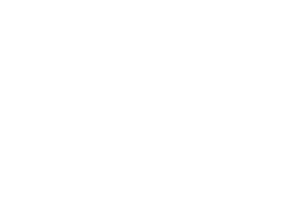 Yale Realty & Capital Advisors