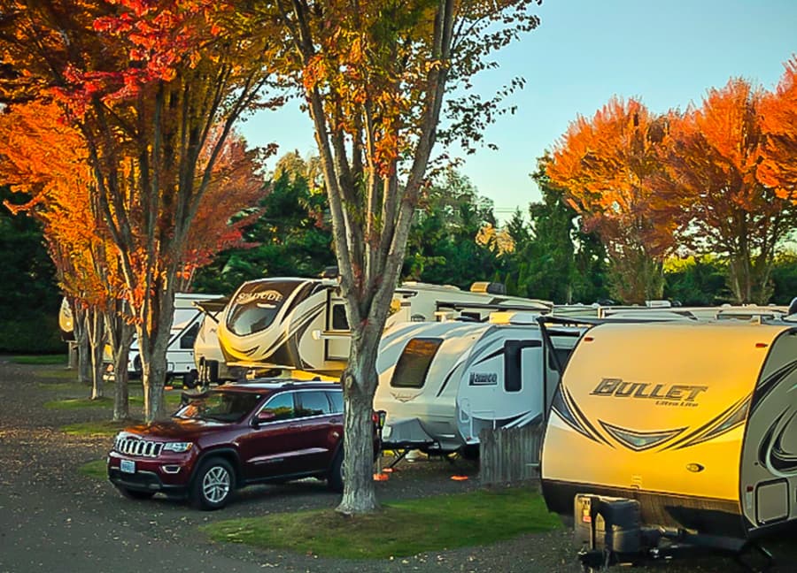 4 Star, 80-100 Site RV Park in Douglas County, OR